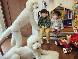 photo-of-two-young-children-sitting-in-a-room-filled-with-toys-next-to-two-fluffy-white-poodle-dogs